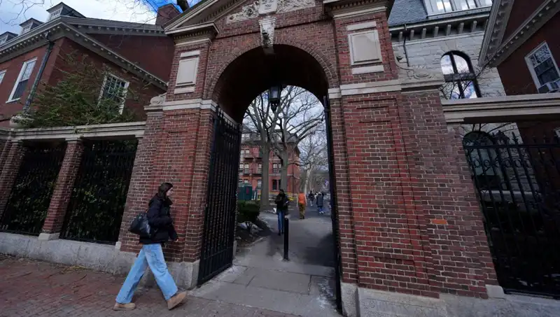 Harvard Profesörleri, Trump Yönetimine Karşı Davayı Gündeme Getirdi