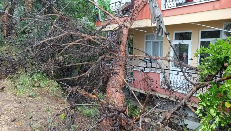 Yağmura Direnemeyen Bina Saniyeler İçinde Yıkıldı!