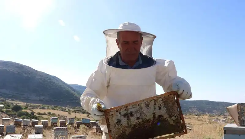 25 Yıl Sonra Gelen Başarı: Kendi Girişimiyle 2 Ton Üretim Yapmayı Başardı