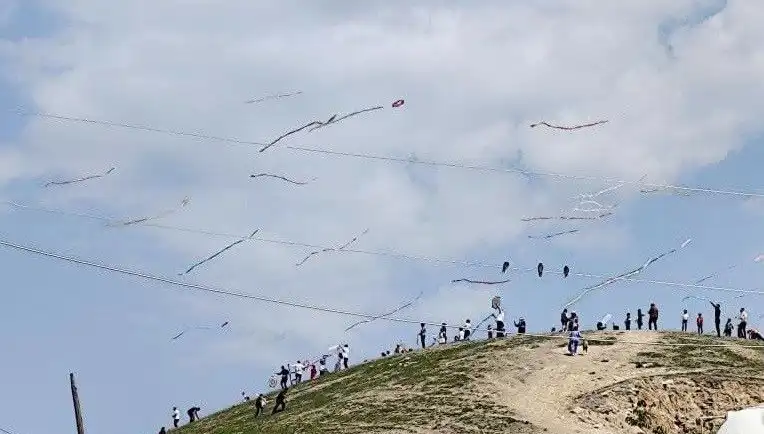 Renklerin Dansı: Uçurtma Şöleni Havadaki Görsel Şölen