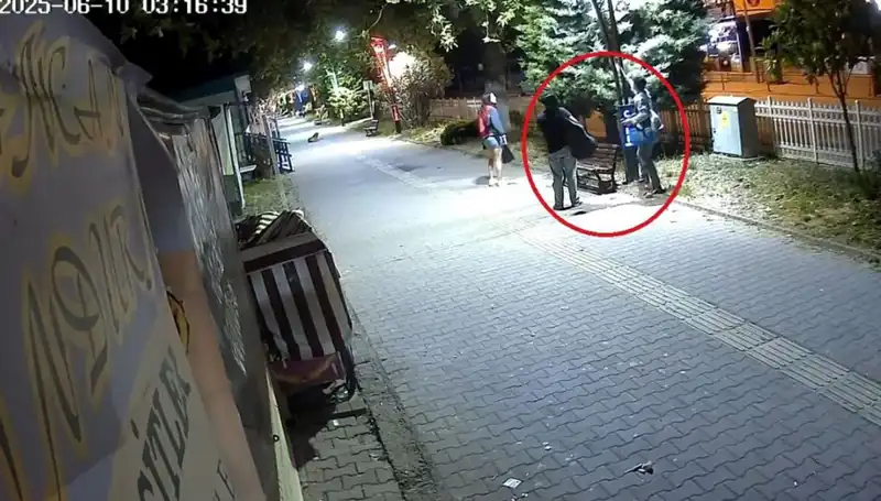 Aydınlatma Direklerindeki LED Işıklarını Sökerek Büyük Zarar Açtı!