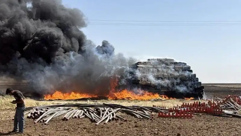 Mardin'de Korkutan Anız Yangını: Doğaya Verilen Zarar ve Önlemler