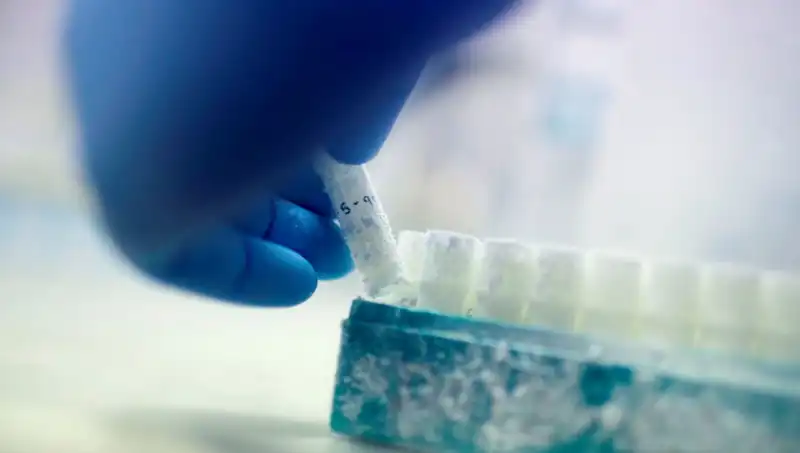 Tıbbi Felaket: 85 Sperm Donörü ile Binlerce Çocuğun Doğum Hikayesi