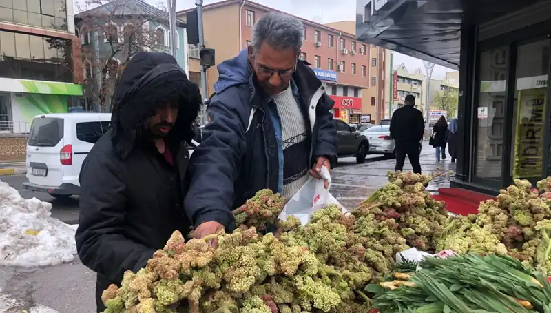 Kendiliğinden Yetişen Vitamin Deposu: Kanser ile Savaşta Yeni Umut!