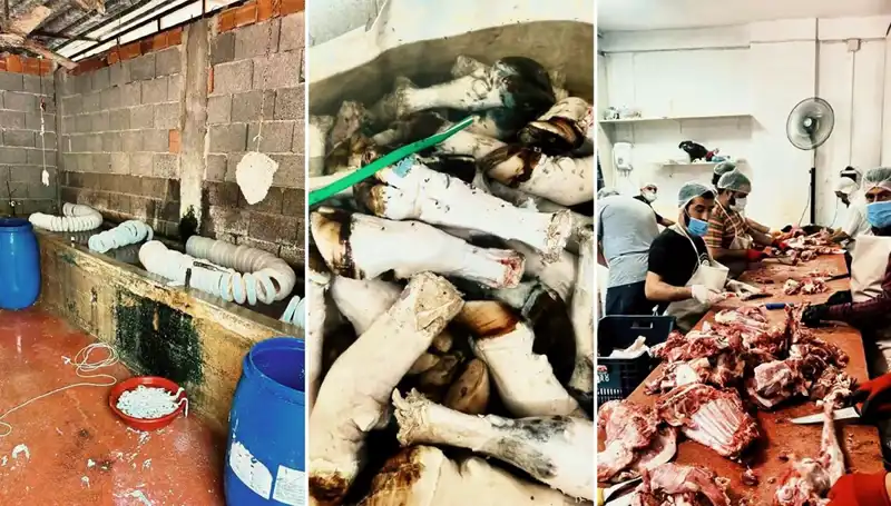 Adana'da Mide Bulandıran Görüntüler: Yüzlerce Kilo Paça İmha Edildi