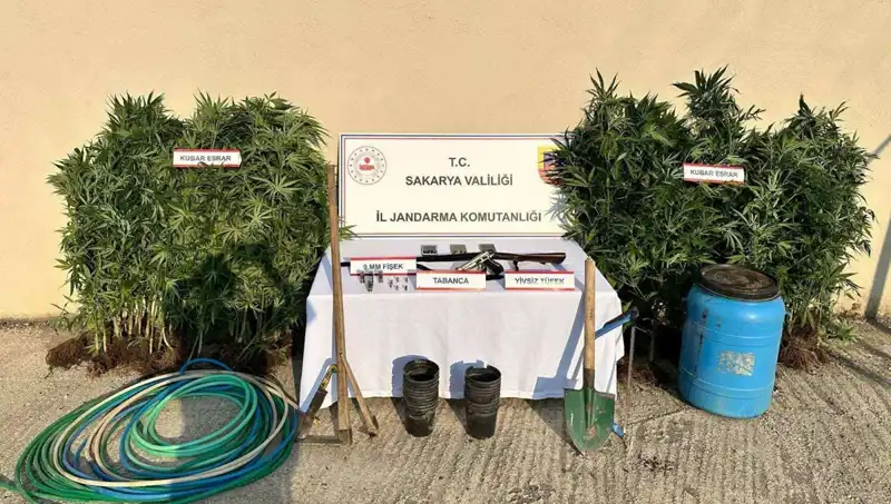 Sakarya’da Uyuşturucu Operasyonu: Emniyet Ekipleri 1 Kişiyi Tutukladı!
