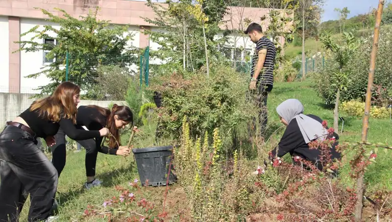 Düzce'den Dünya Sahnesine: Hayaller Gerçek Oluyor!