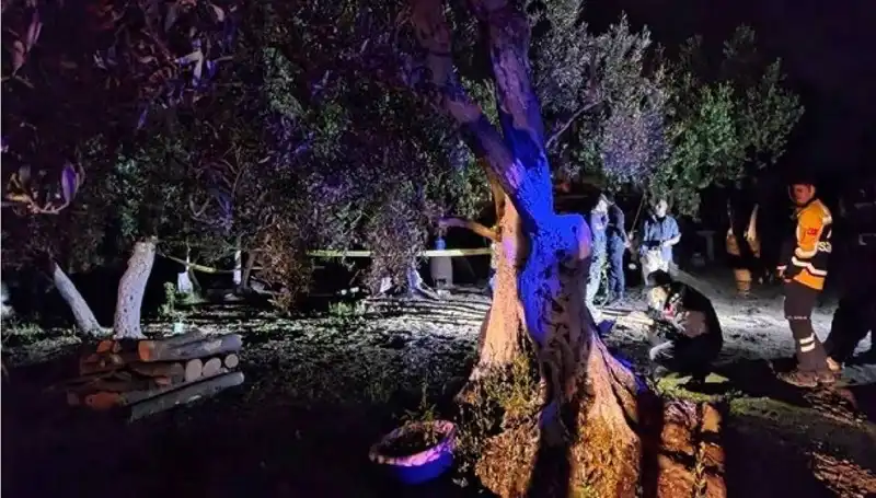 Çiftlikte Baltalı Vahşet Olayında Şok Tutuklama!