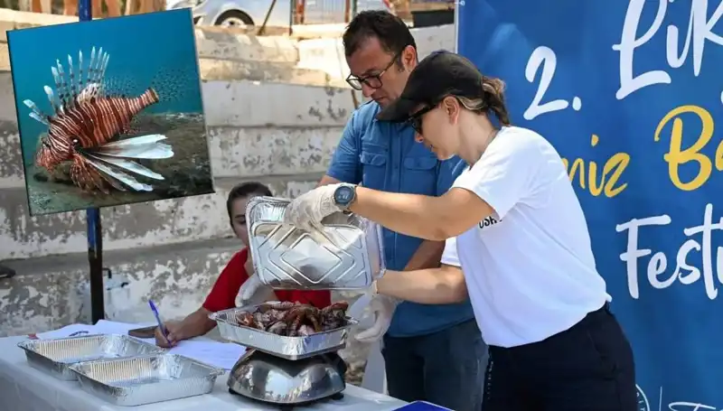 Antalya'da İstilacı Aslan Balığı Avlama Yarışması Hayatı Renklendiriyor