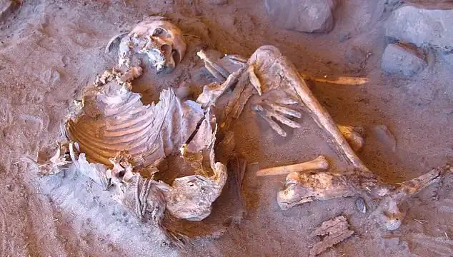 Eski Mısır'da Keşfedilen Yeni Mumya, Soy Ağacını Yeniden Yazdırıyor!