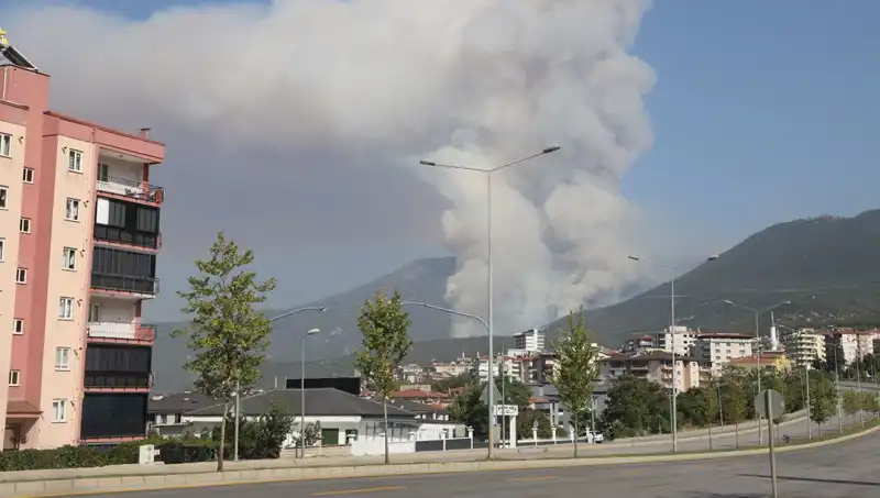 Denizli'de Orman Yangını: Yangının Sebebi ve Gözaltındaki Şüpheli Kim?