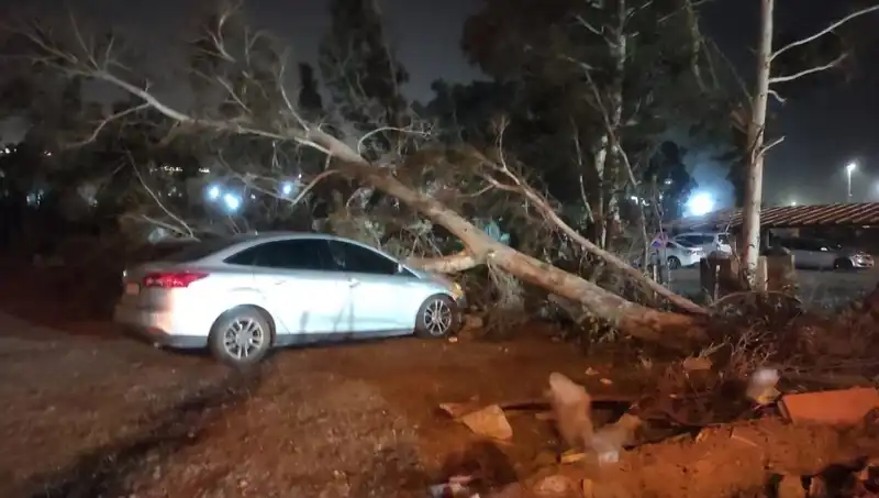 Hatay'da Fırtına Alarmı: Tekneler Alabora, Ağaçlar Devrildi!
