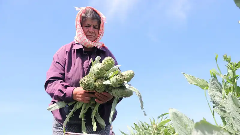 Tarladan Sofralara: Tezgahta Tanesi 50 TL Olan Ürünlerin Hikayesi