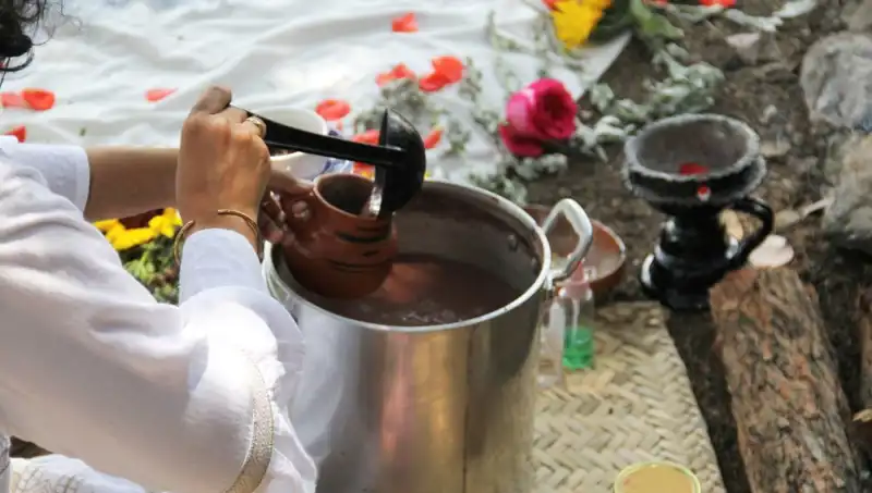 Ayahuasca: Şaman Gizemi ve Yasal Durumu Hakkında Her Şey