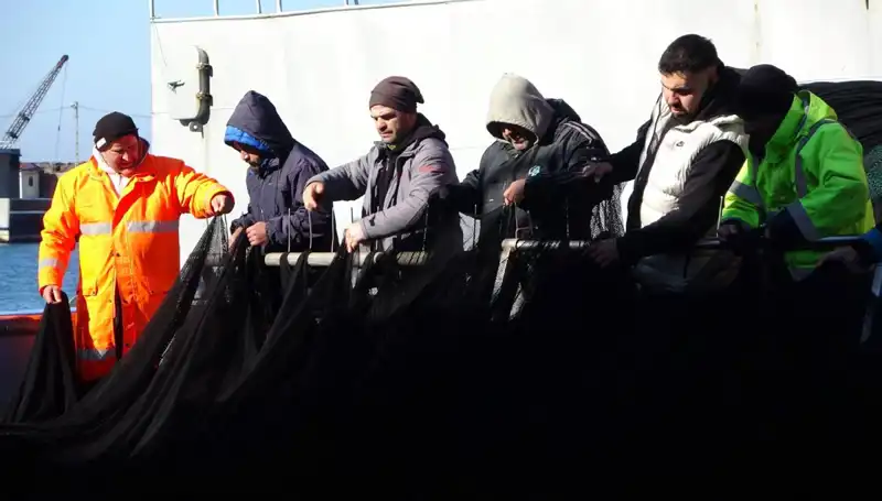 Hamsi Avında Şok Gelişme: Balıkçılar Denizlerden Ümitsiz Dönüyor