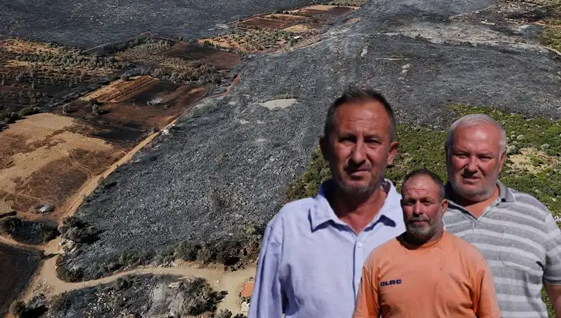 Çeşme Yangını: Gözyaşlarıyla Dolu Bir Yaz Gecesi