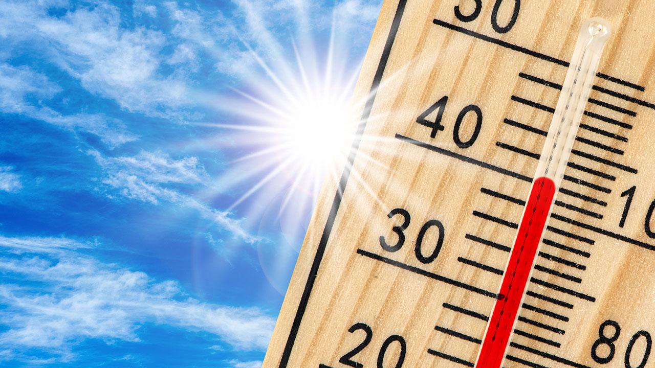 Dünya 2024'te Sıcacık Bir Yıl Geçirdi
