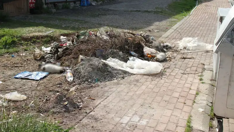Antalya'da Şok Edici Olay: 10 Kedi Nasıl Öldürüldü?