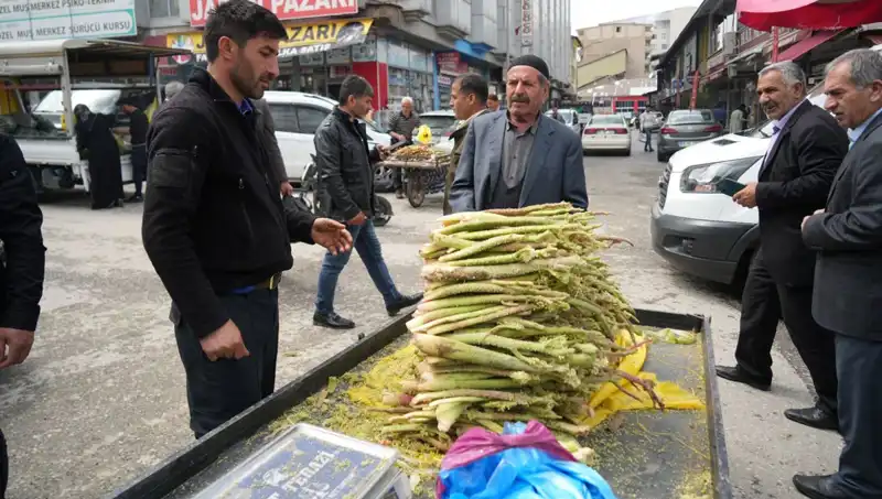 Şekerin Kanser ve Mide Hastalıklarına Faydası: Dağlık Alanlardan Masaya Yolculuğu