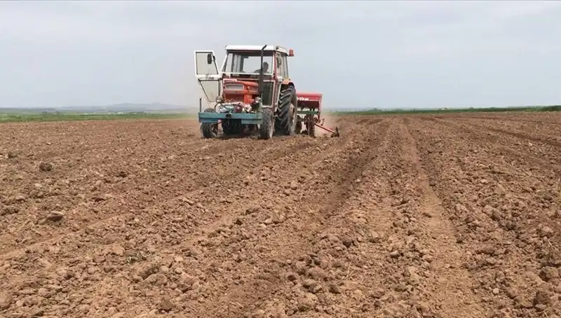 Son 35 Yılda Görülen En Kurak Mart Ayı: Su Krizi Kapıda mı?
