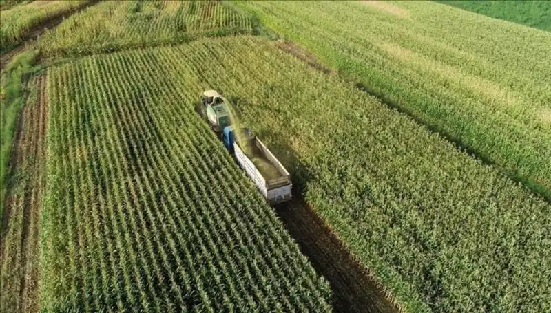 2025 Mart Ayı Mazot ve Gübre Desteği Ödemeleri Açıklandı
