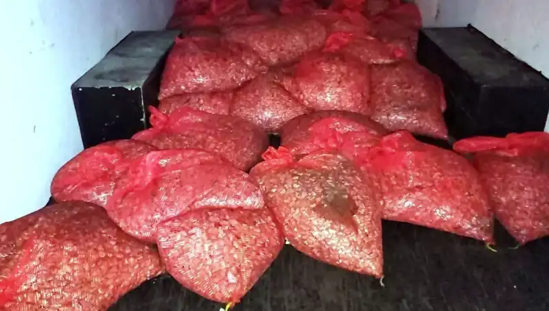 Samsun'da Olay Yaratan Operasyon: 1,5 Ton Kaçak Midye Ele Geçirildi!