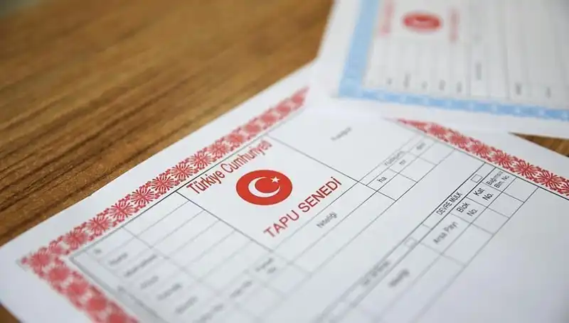 100 Milyonluk Dolandırıcılık: Hisseli Tapu Yalanıyla Kurulan Tuzak