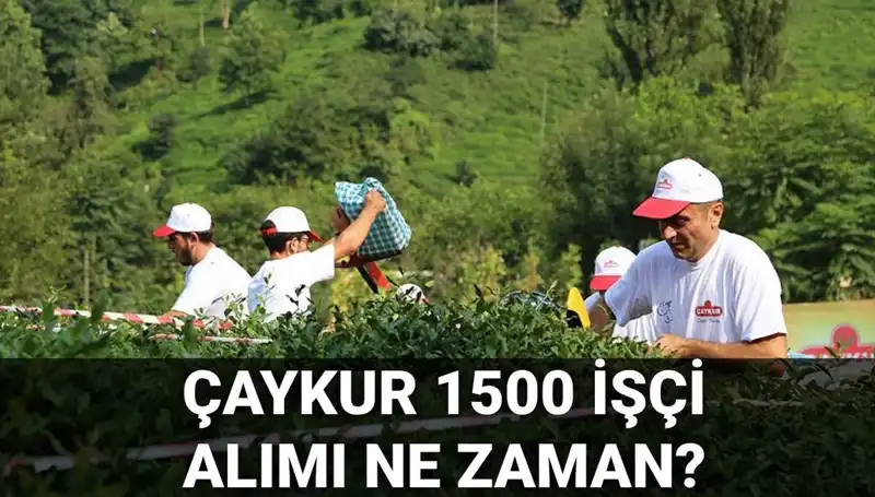 Çaykur İşçi Alımı Başvuruları Başladı mı? Detayları Kaçırmayın!