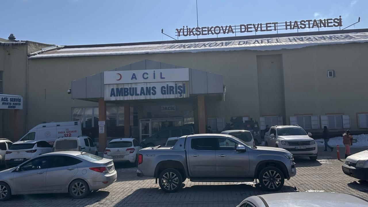 Müfettiş Başıboş Köpeklerin Saldırısıyla Ölen Çocuğu İnceleyecek