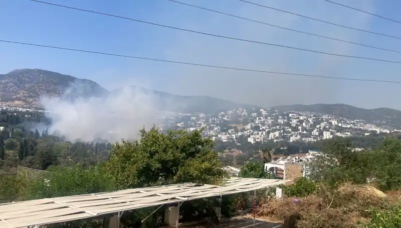 Muğla'da Orman Yangınları Kontrol Altına Alındı: Yeniden Yeşil Bir Geleceğe Adım